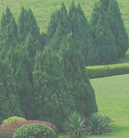 手机号轰炸业务网