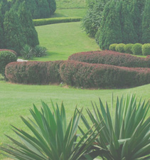 手机号轰在线网页版入口