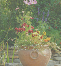 信息轰炸在线使用免费